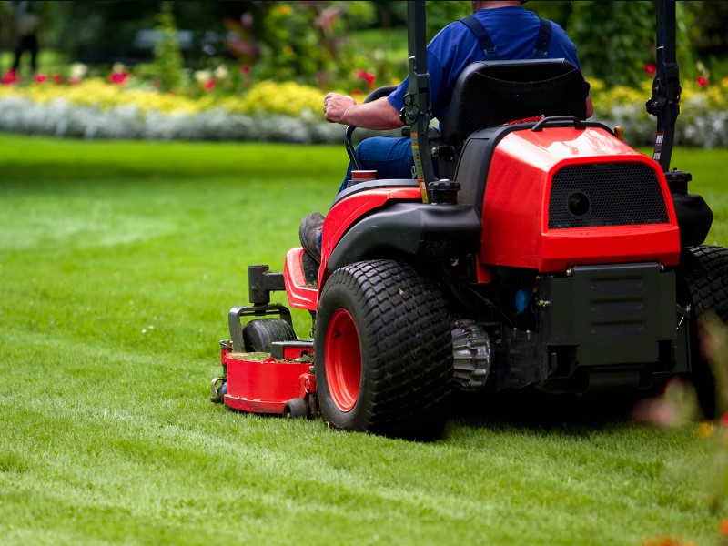 lawnmower web shop